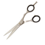 Luxury Salon Hair Cut Shears